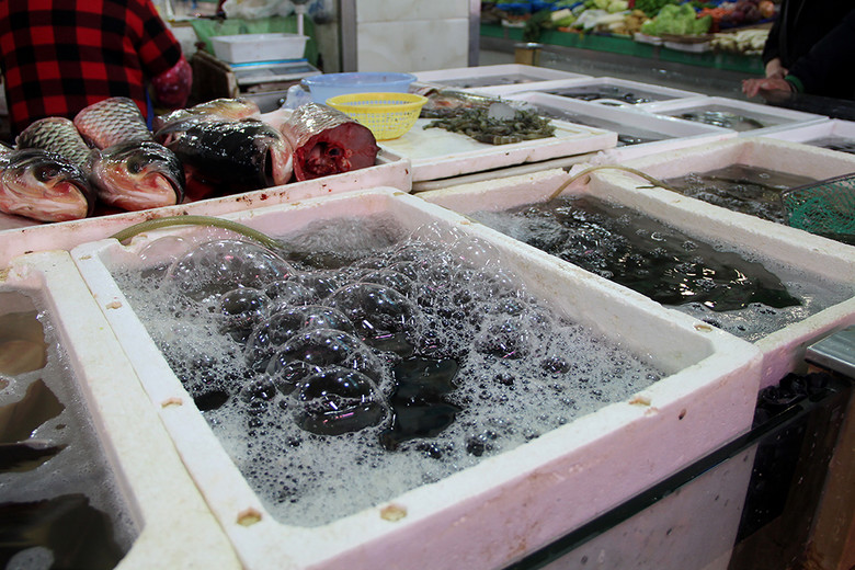 菜市場生鮮水產魚類 從市井煙火到餐桌美食的鮮活圖景