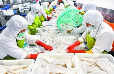 福建晉江水產(chǎn)加工出口快速增長，加工貿(mào)易成發(fā)展新引擎