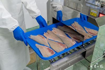 開辟“預(yù)制菜”新賽道，大黃魚游向水產(chǎn)品市場藍(lán)海