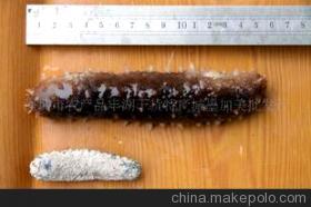 探秘滋補珍品 特級日本沖子參的營養(yǎng)價值與選購指南