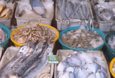 廈門節(jié)前水產(chǎn)品供應(yīng)充足 部分海鮮價格穩(wěn)中有升